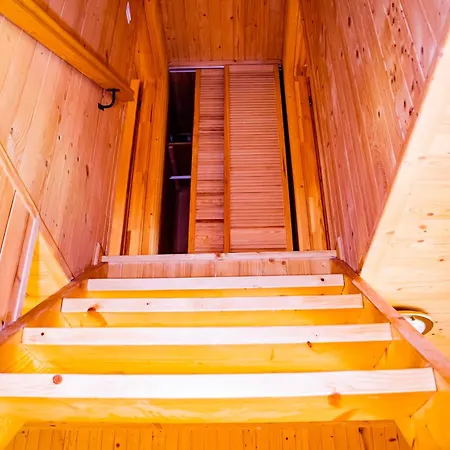 维多利亚假日公园 假日公园